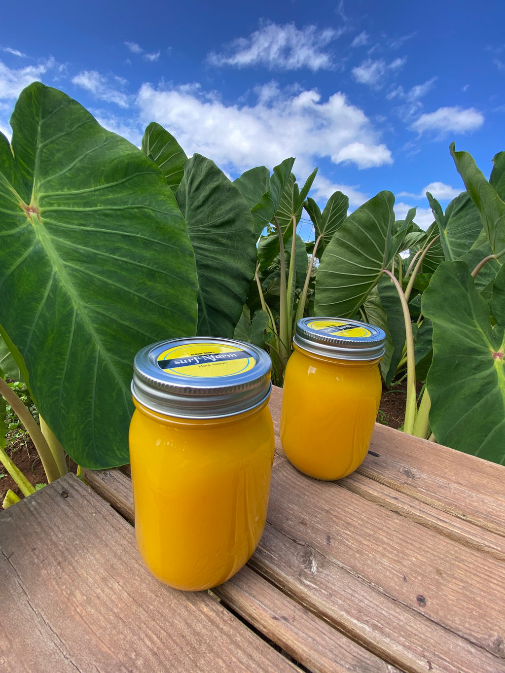 Turmeric/Ginger Tonic