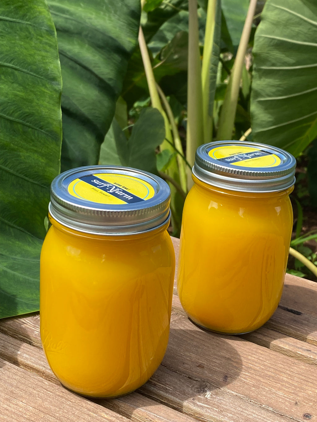 Turmeric/Ginger Tonic